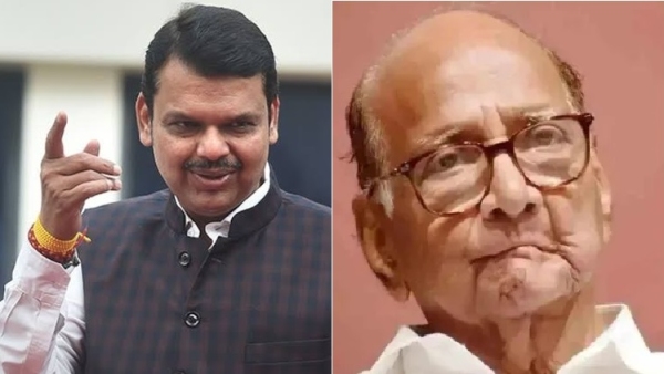 Legislative Council Elections