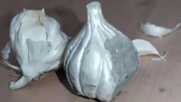 fake garlic