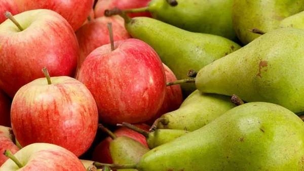 most health benefits of eating pears or nashpati in Marathi