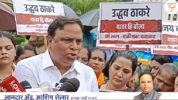 Badlapur School Girl Rape Case Mahavikas Aghadi Protest Movement Counter Attack by BJP