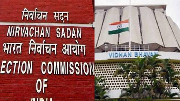 Maharashtra Assembly Election 2024