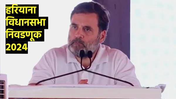 Haryana Assembly Election 2024