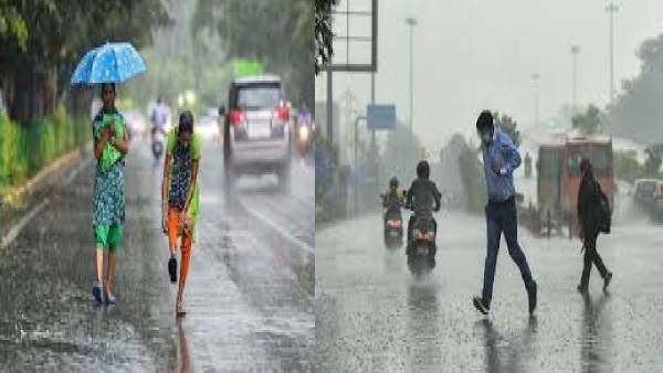 Maharashtra Rain Maharashtra Rain