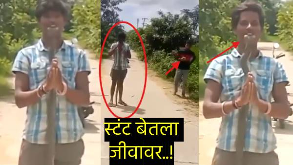 snake bite Reels Star Death