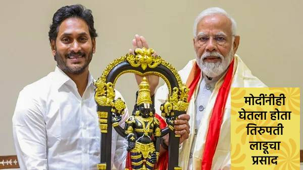 Tirupati Ladu Case Tirupati Ladu Case