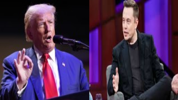 Donald trump on Elon musk