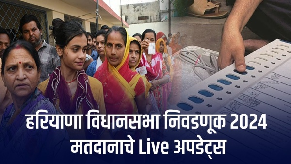 Haryana Assembly Election 2024 Voting