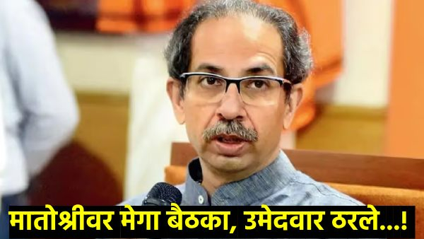 Maharashtra Assembly Election 2024