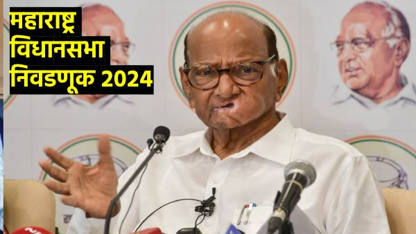 Maharashtra Assembly Election 2024