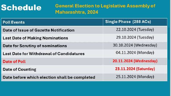 maharashtra assembly election 2024