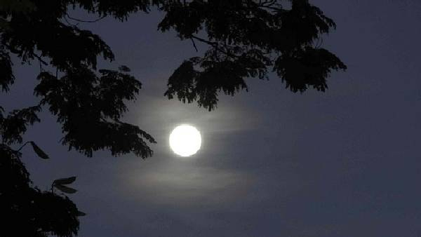 Kojagiri Purnima 2024 Wishes Kojagiri Purnima 2024 Wishes