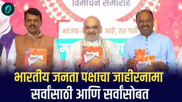 BJP Manifesto For Maharashtra Election 2024