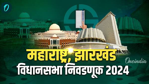 Maharashtra Election Voting : महाराष्ट्रात 5 वाजेपर्यंत 58 टक्के, तर झारखंडमध्ये 67 टक्के मतदान