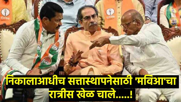 Maharashtra Assembly Election 2024 Maharashtra Assembly Election 2024