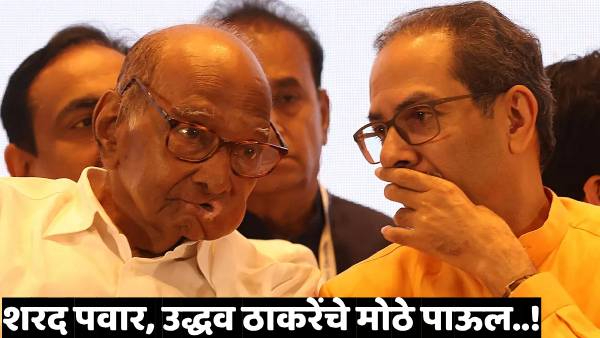 Maharashtra Assembly Election Result 2024