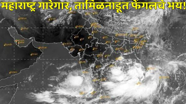 Weather Update Severe cold in Maharashtra