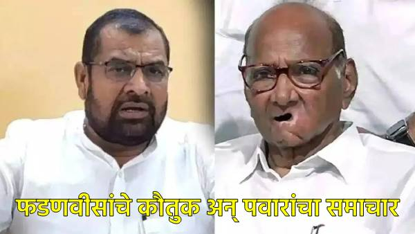 Maharashtra Assembly Election 2024