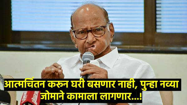 Maharashtra Assembly Election 2024