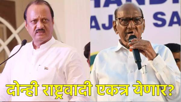 Maharashtra Assembly Election 2024