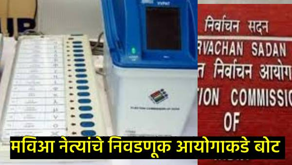 Maharashtra Assembly Election 2024