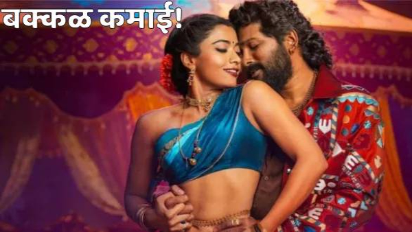pushpa 2 movie box office collection