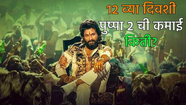 pushpa 2 the rule box office collection day 12