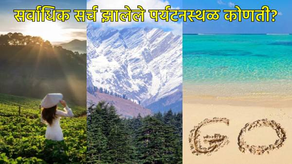 LookBack 2024 Trends LookBack 2024 Trends