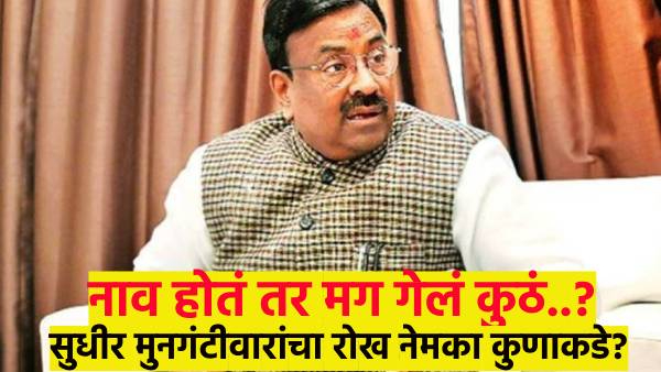 Sudhir Mungantiwar Sudhir Mungantiwar