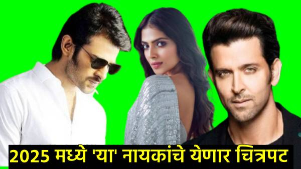 Lookback 2024 Entertainment