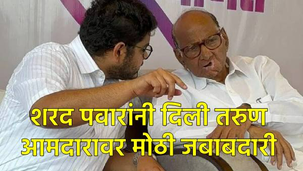 Maharashtra Assembly Election 2024