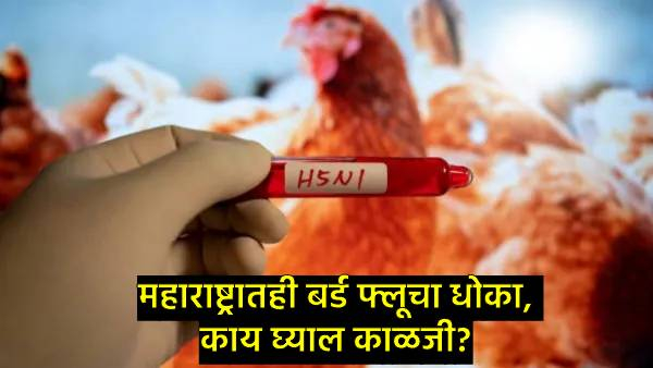 how to take care of bird flu