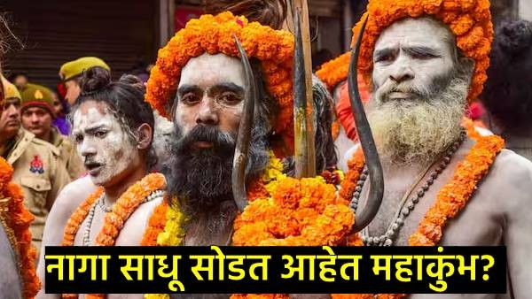 Naga sadhus Naga sadhus