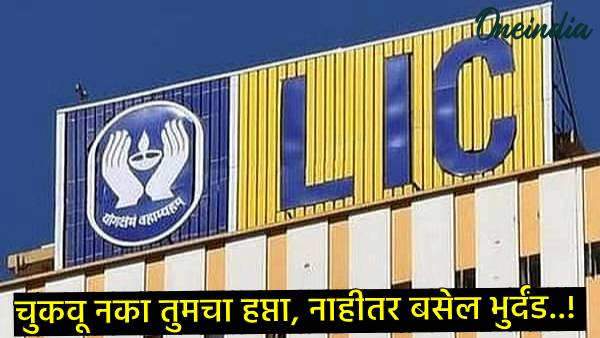 LIC News LIC News