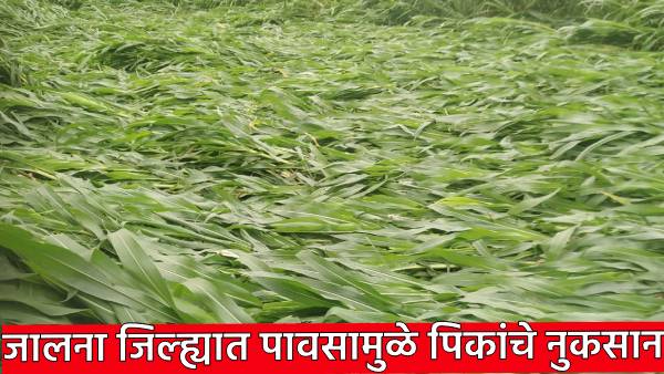 Maharashtra Weather Maharashtra Weather