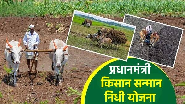 pm kisan samman nidhi yojana
