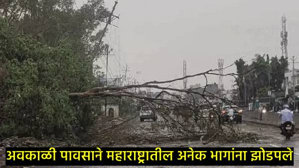 Maharashtra Weather Update Maharashtra Weather Update