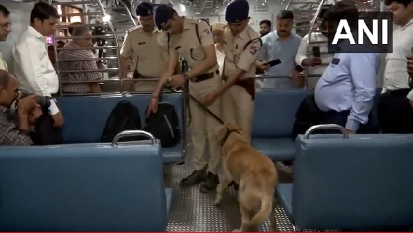 What is mock drill What is mock drill