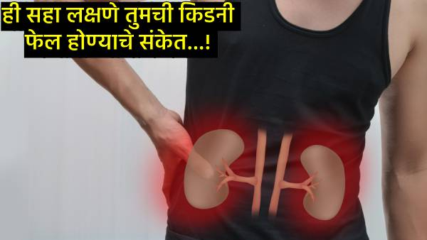 kidneys are completely damaged