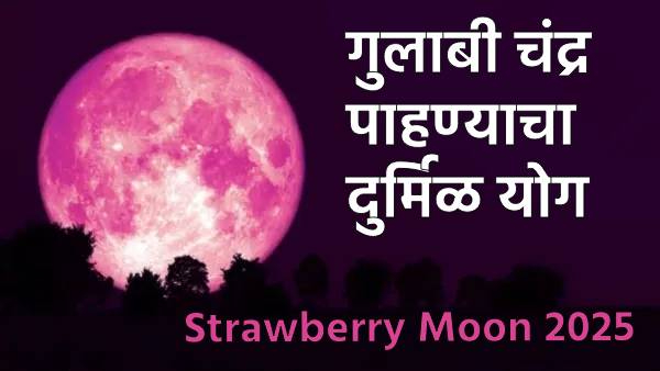 Strawberry moon 2025 Strawberry moon 2025