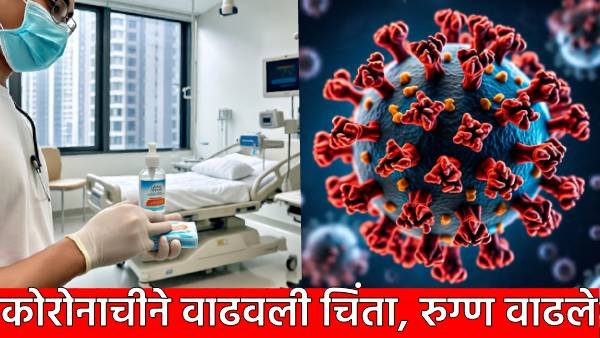 COVID-19 cases India COVID-19 cases India