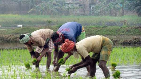 akar pad land return