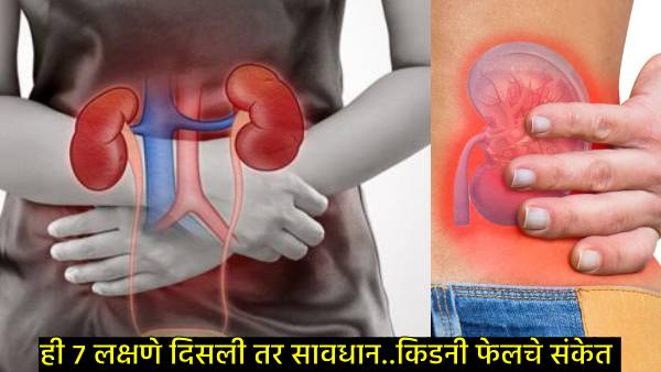 7 symptoms understand that cancer has entered the kidney 7 symptoms understand that cancer has entered the kidney