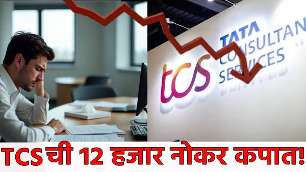 TCS shares fall