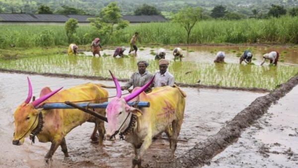 PM Dhan Dhanya Krishi Yojana