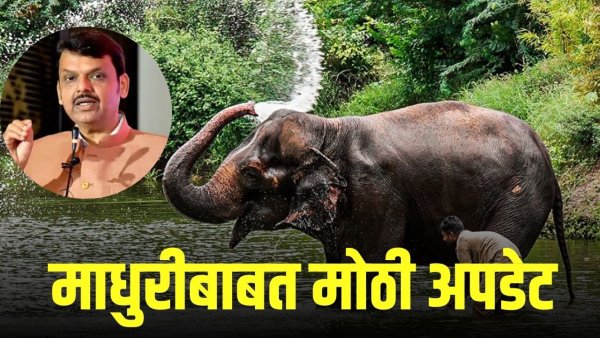 mahadevi elephant return kolhapur