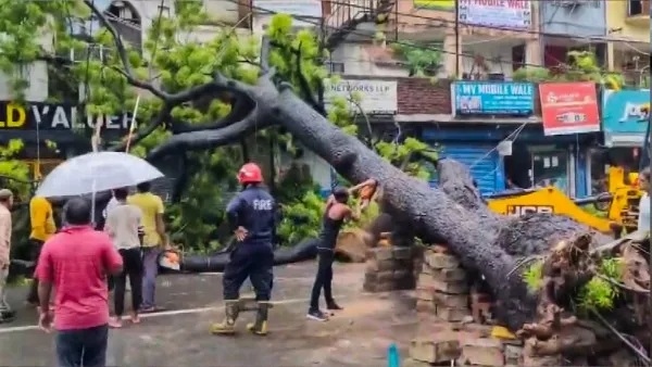 delhi heavy rain tragedy kalkaji tree fall death