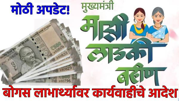Ladki Bahin Yojana Order of action against govt employees Ladki Bahin Yojana Order of action against govt employees