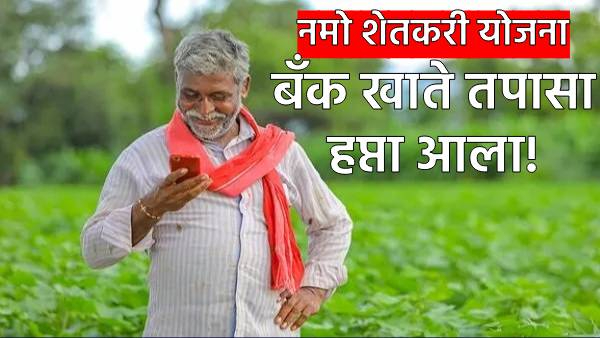 Namo Shetkari Yojana 2025 7th installment distributed Namo Shetkari Yojana 2025 7th installment distributed