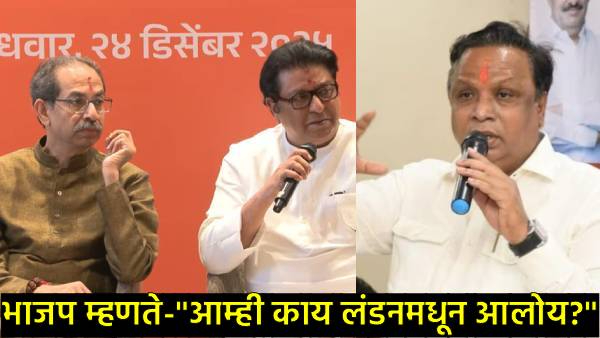 Thackeray brothers alliance