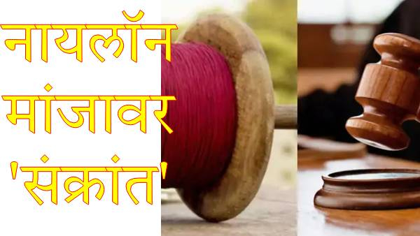 makar sankranti kite flying rules makar sankranti kite flying rules